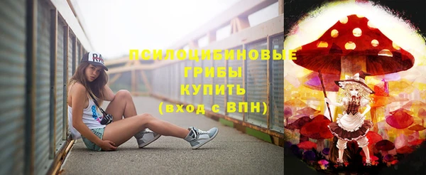 PSILOCYBIN Ступино
