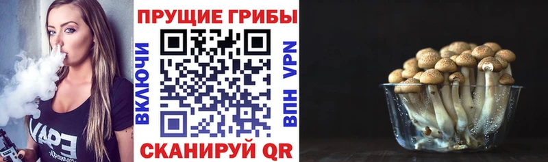 Псилоцибиновые грибы MAGIC MUSHROOMS  Мариинск 