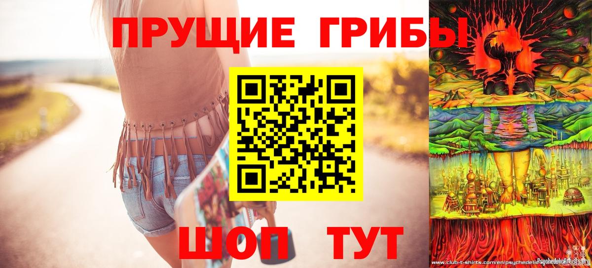 Галлюциногенные грибы Psilocybine cubensis Мариинск
