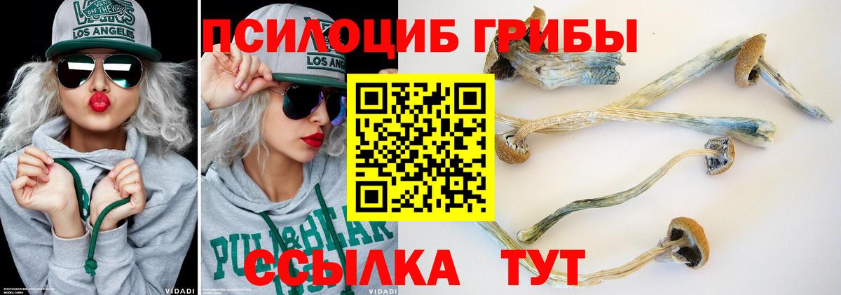 Мариинск  Галлюциногенные грибы GOLDEN TEACHER  Галлюциногенные грибы MAGIC MUSHROOMS  Вход с VPN 